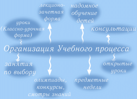 Организация учебного процесса